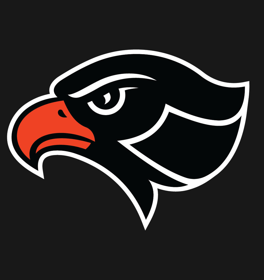 Bethel Park High School Football